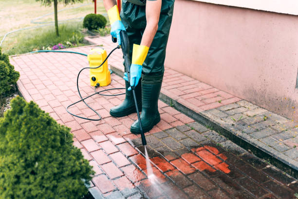 Best Sidewalk and Walkway Cleaning  in Bernie, MO