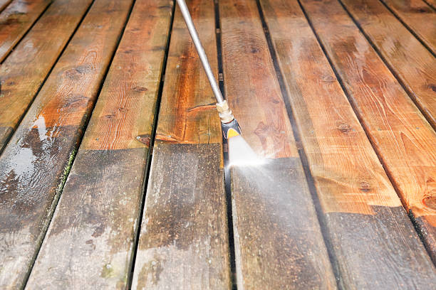 Animal Enclosure Cleaning in Bernie, MO